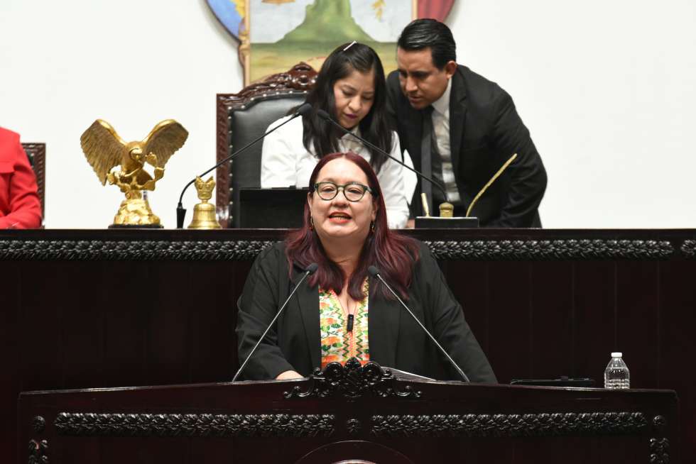 Diputadas se posicionan sobre protestas